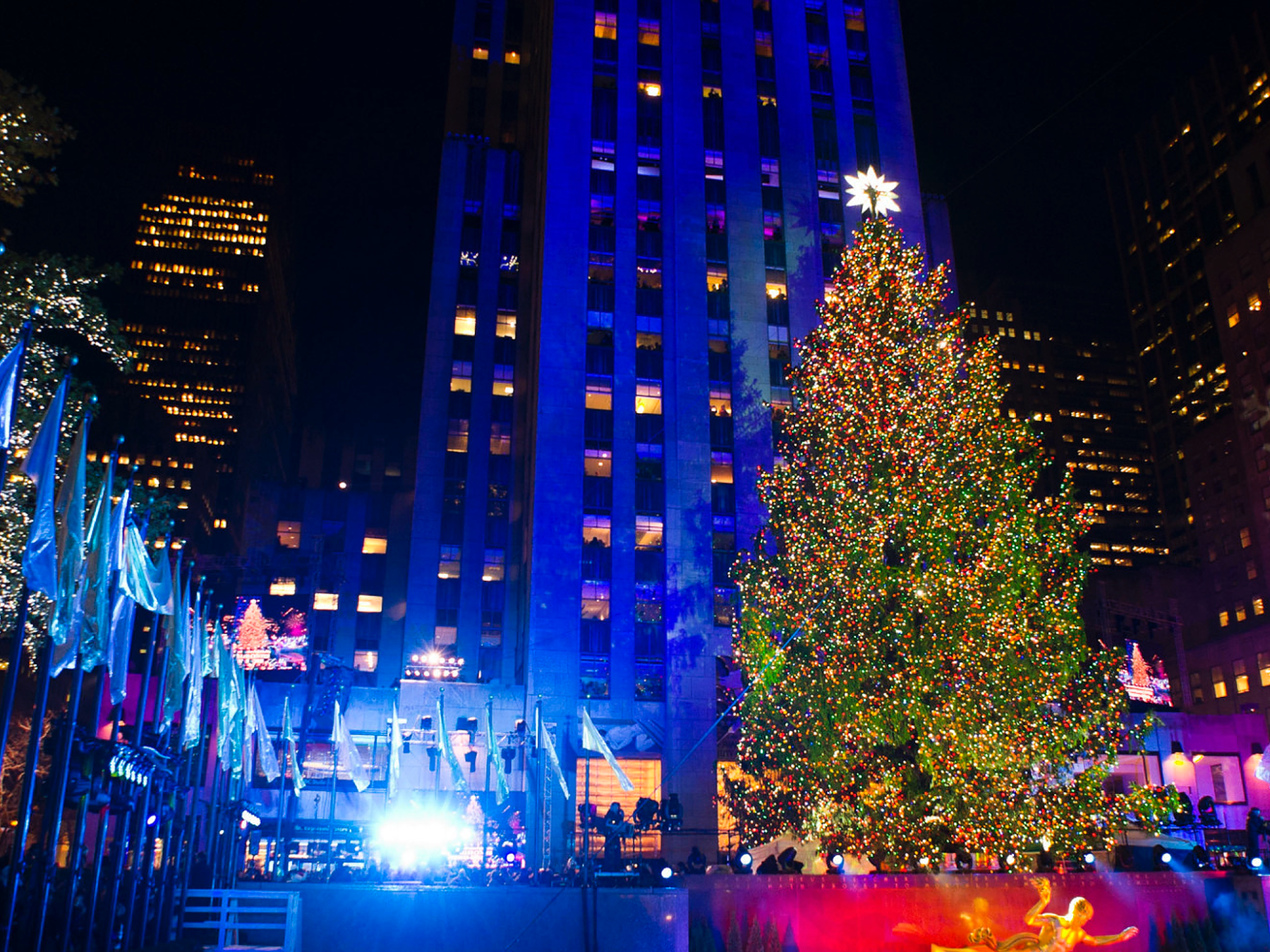 new york tours christmas